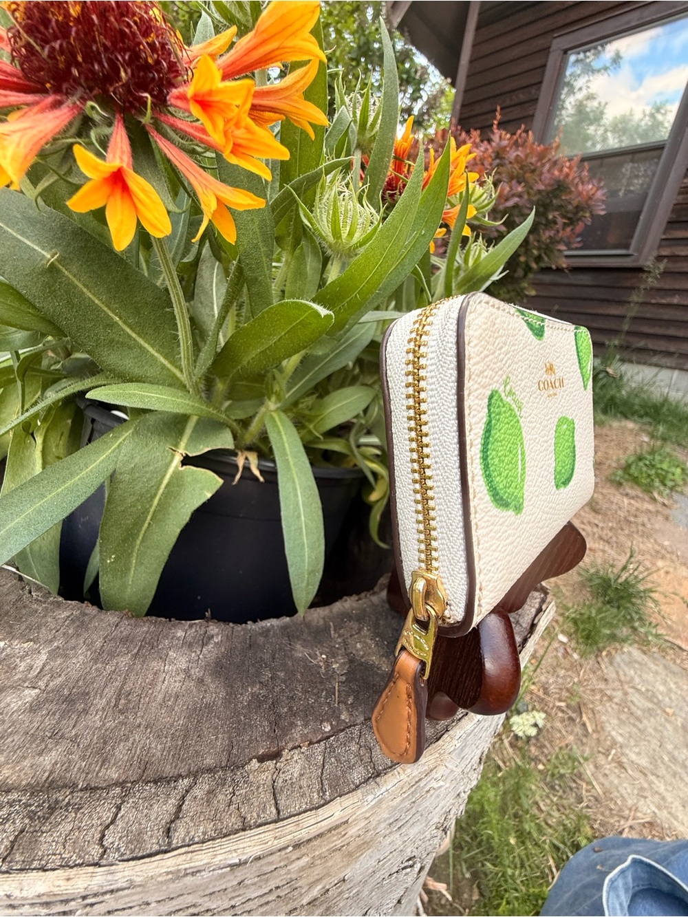 Coach zip around card case 🍋‍🟩 Lime Print - Picture 6 of 12